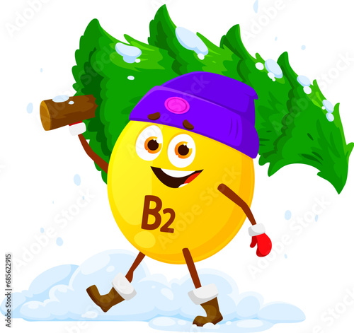 Christmas vitamin B2 carrying Christmas tree, vector cartoon character for winter holiday. Funny vitamin B2 micronutrient pill in winter hat carry Christmas tree from forest for New Year celebration