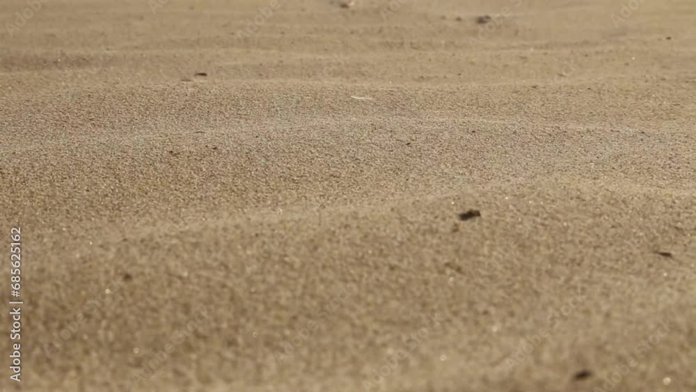 Close up of sand dune particles blown by the wind in the desert at sunset