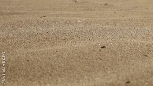 Close up of sand dune particles blown by the wind in the desert at sunset