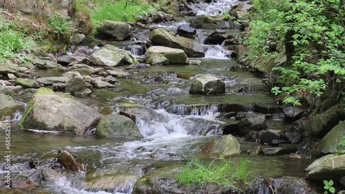 Idyllic creek in the Bavarian Forest
