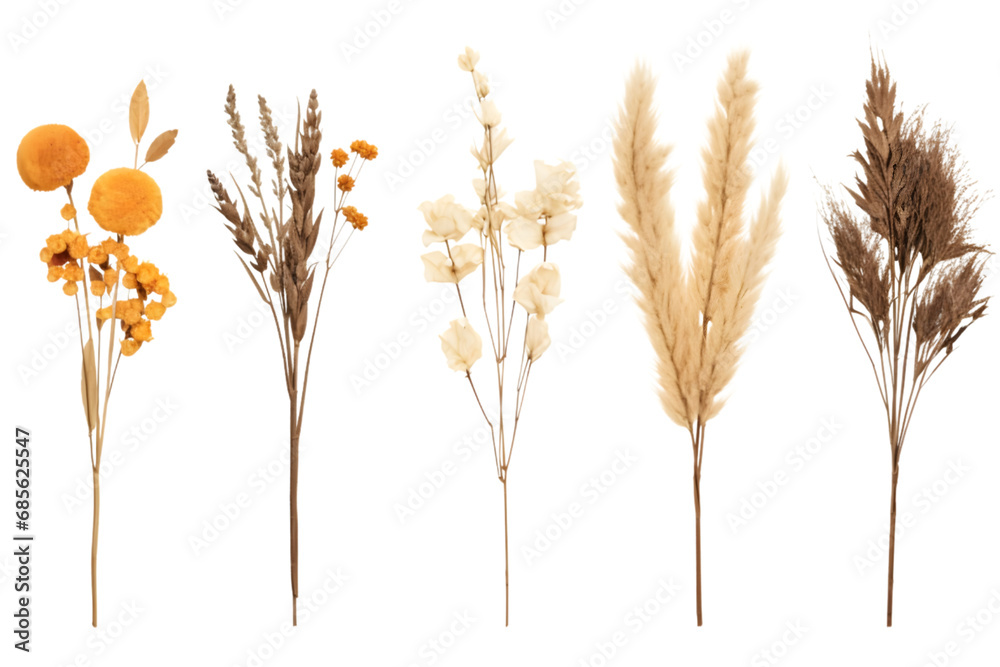 Set dried flowers, bouqets. Generative AI. - obrazy, fototapety, plakaty 