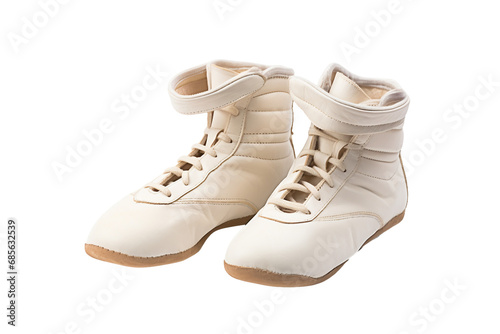Karate Training Footwear Isolated on transparent background