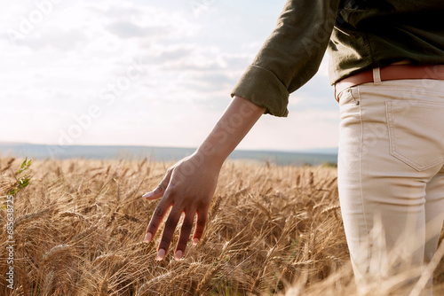 Agronomist touching barley crops in field photo