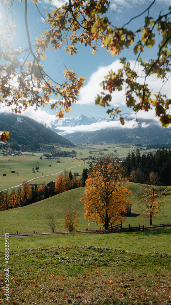 Beautiful autumn landscape with golden foliage trees and snowy mountain tops in Saalfelden, Salzburger Land, Austria