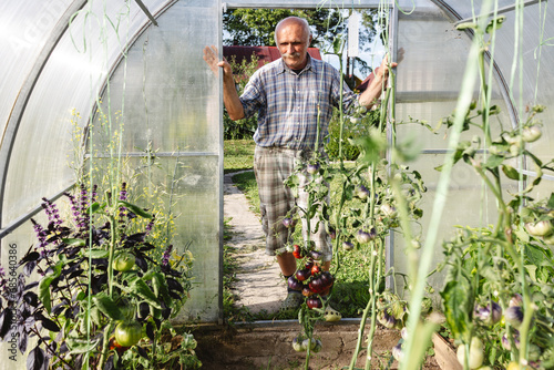 Senior man standing on door of greenhouse in garden photo