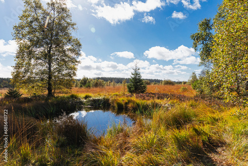 Belgium, Liege Province, Small pond in High Fens - Eifel Nature Park