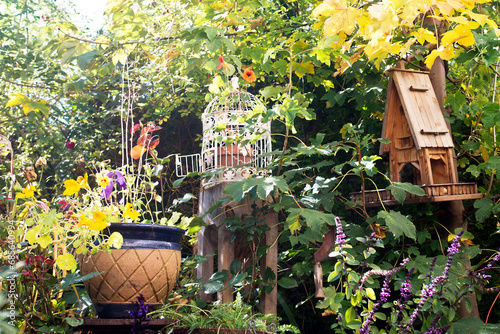 Birdhouse and birdcage in lush autumn garden photo