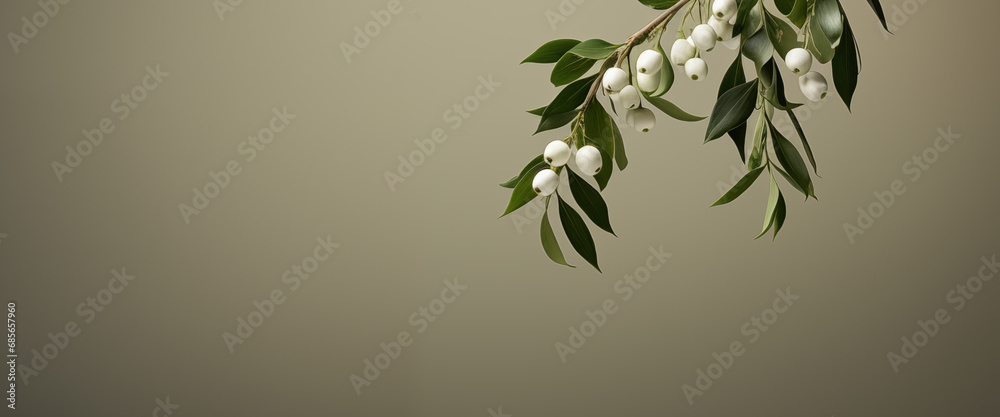 mistletoe hangs. minimalistic wallpaper. copy space
mistletoe hangs. minimalistic wallpaper. copy space