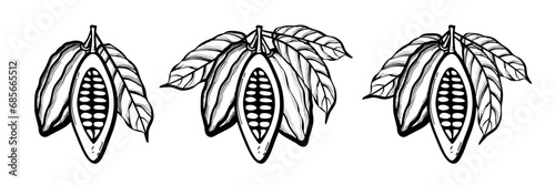 Set of three hand drawn black outline cocoa beans with leaves on a branch. Flat doodle style. Vector illustration.