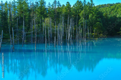 青い池 北海道美瑛町観光