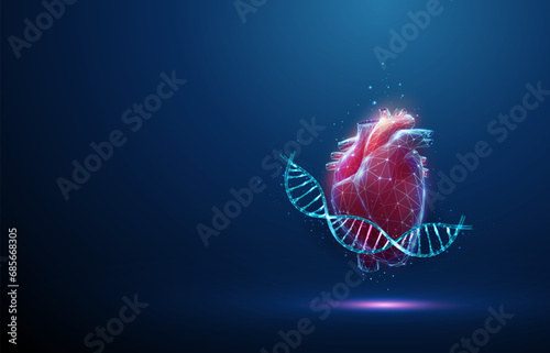 Blue DNA molecule helix with red human heart. Hereditary heart diseases, diagnosis of genetic diseases concept. Low poly photo