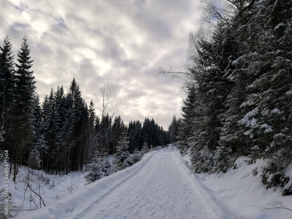 Obraz premium Mowed road in the forest during winter