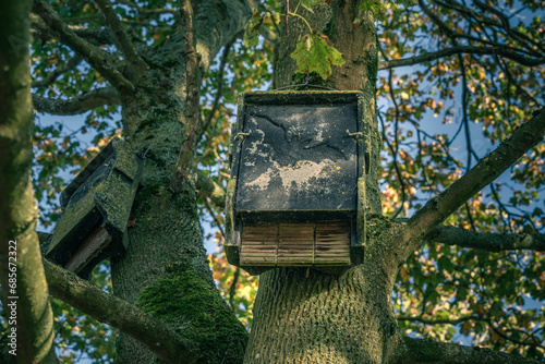 Minimalist photo of a bat house hanging from a tree branch, with a focus on the intricate patterns of the wood and the contrast between the light and dark areas, be a concept of nature conservation