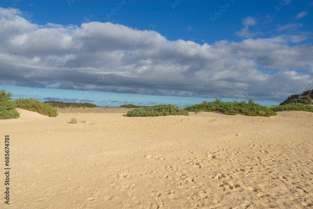 Teilstück einer Sand-Dühne mit Pflanzen und teils Wolkigem Himmel auf Fuerteventura