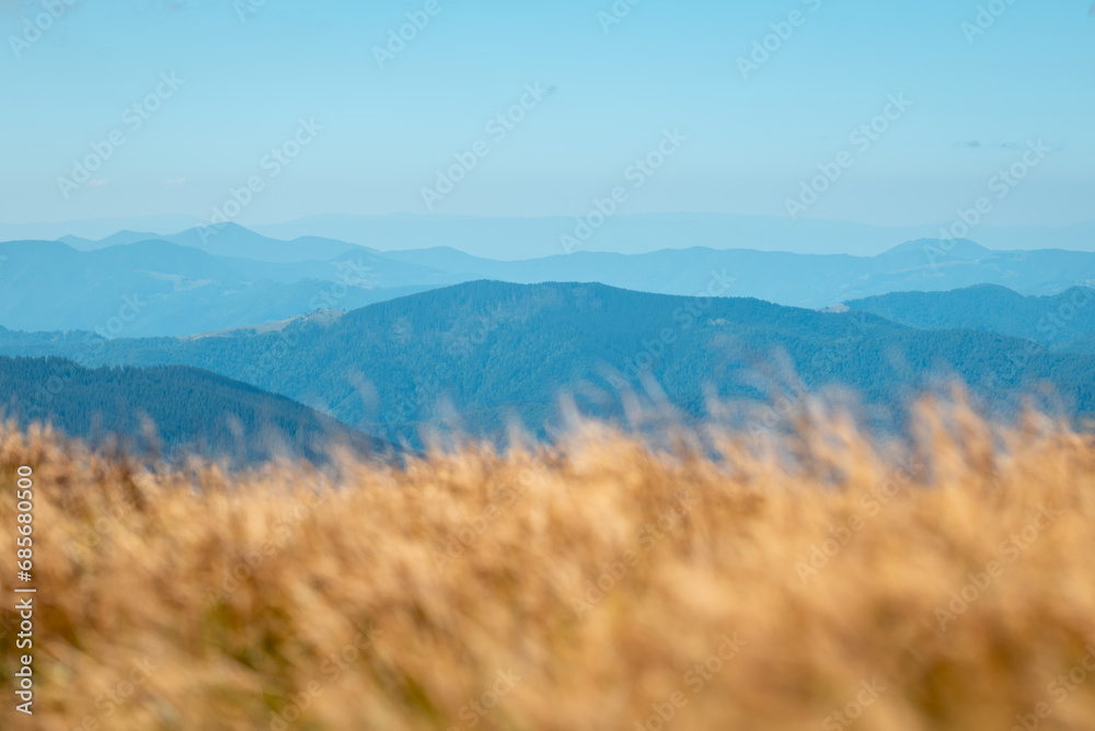 Landscape of the slopes of mountains in the Carpathians. Blurred dry grass on the foreground, early autumn view