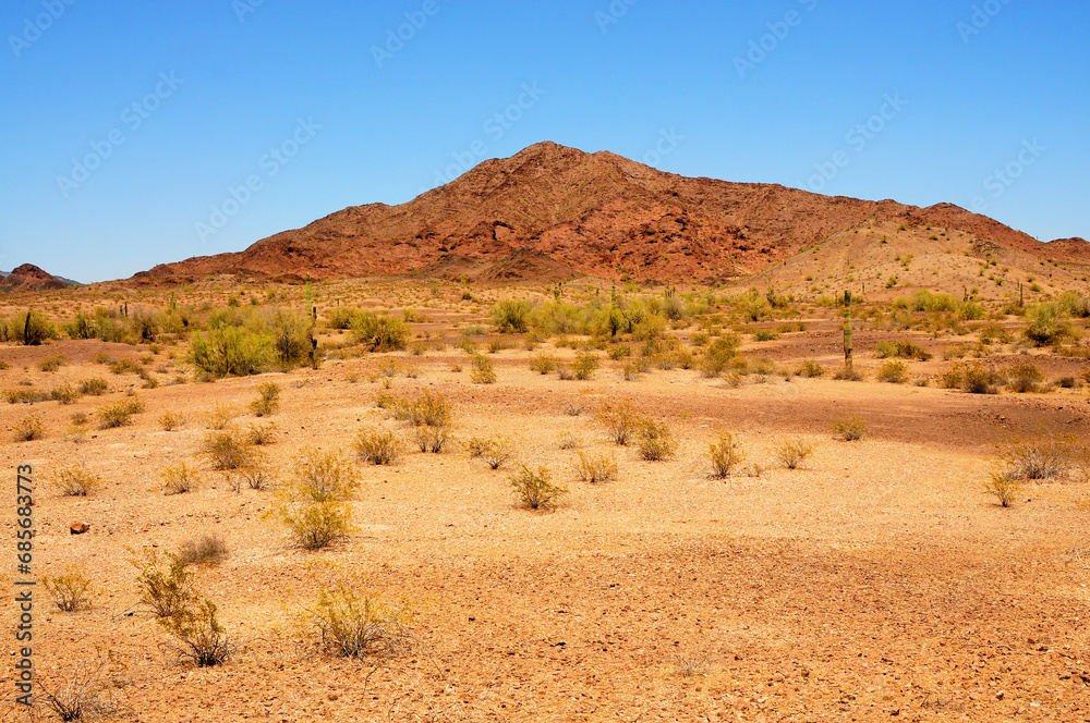 Sonora Desert Arizona