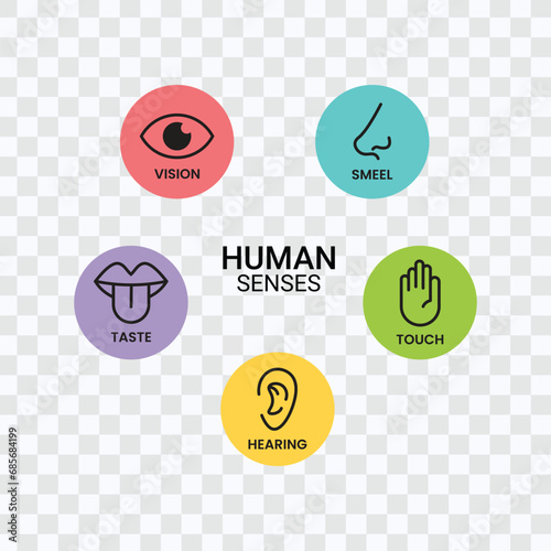 Explore the intricacy of human senses with our vector icon set—Vision, Smell, Hearing, Touch, Taste—capturing the essence of sensory perception in detailed illustration.