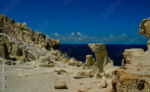 Oasi di protezione faunistica di Carloforte. Sentiero Verde, Isola di San Pietro. Sardegna, Italy photo