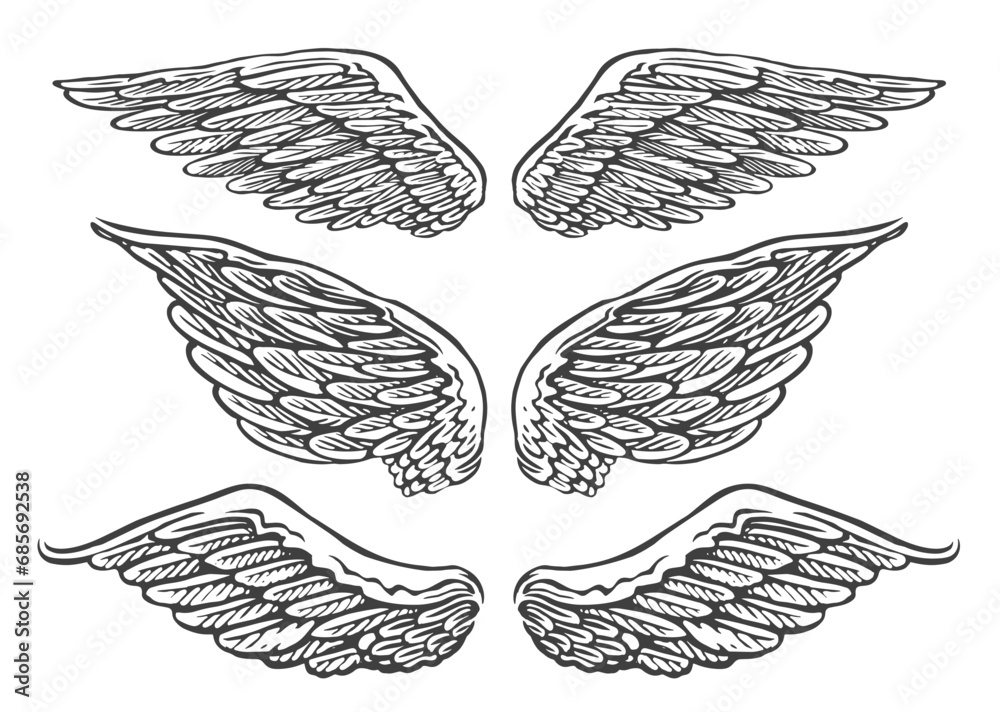 Fototapeta premium Set of hand drawn pairs of angel or bird wings of different shapes in open position. Vintage vector illustration