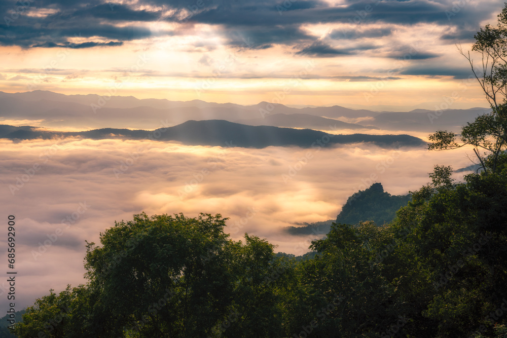 Mountains in clouds at sunrise, sun beam in morning. Aerial view of mountain peak with green trees in fog. Beautiful landscape with high rocks, forest, sky. Top view of mountain valley in low clouds