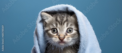 After a bath a cute gray tabby kitten with big eyes is wrapped in a towel Copy space image Place for adding text or design photo