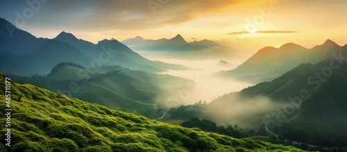 Beautiful sunrise in the mountains nature view from Kolukkumalai Munnar Kerala concept image Copy space image Place for adding text or design #685711177