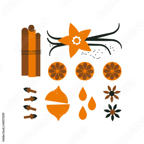 Set of spices. Cinnamon stick, vanilla, dried orange slices, cloves, and brown anise flower. Spices for baking or making a drink. Cooking and mulled wine ingredient. Flat trendy abstract style.
