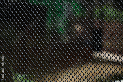 Close up of steel mesh fence with blur background and copy space.