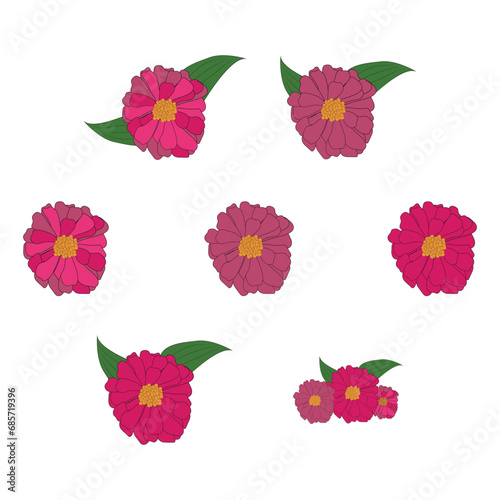 Floral line art styleDecorative hand drawn pink zinnia flower  design element. Can be used for cards  posters  banners  invitations.