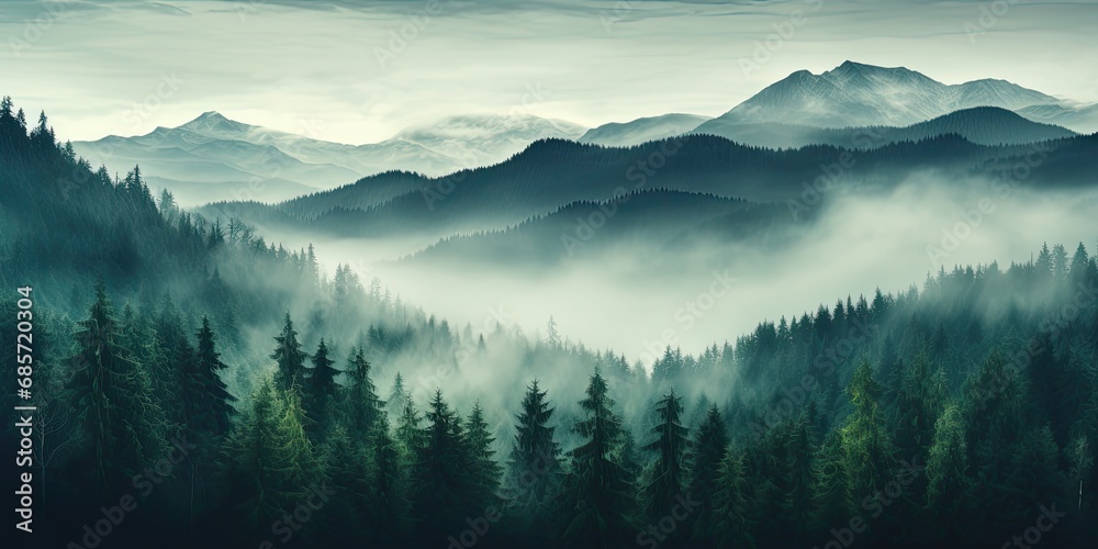 fogy forests and fog with trees and mountains - obrazy, fototapety, plakaty 