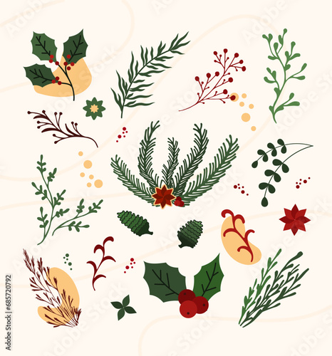 Hand draw Christmas plant ornaments leaf, flower, branches set. Doodle holly floral, branch elements