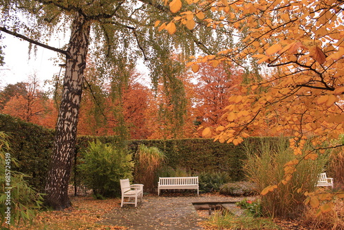 Autumn garden with two white benches