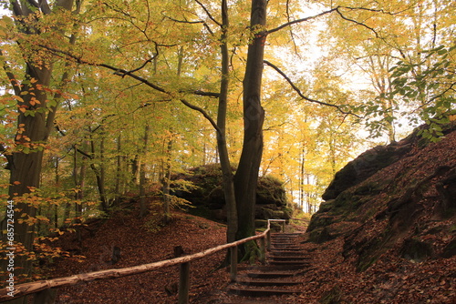 Autumn colors going up the stairs in the woods of Elbe Sandstone Highlands national park in Saxony, Germany