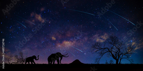 On the dark night, there was an Silhouette elephant walking on the ground. milky way background