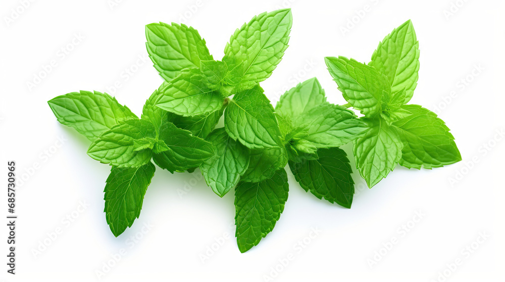 close up fresh mint leaves isolated on white background close up fresh mint leaves isolated on white background