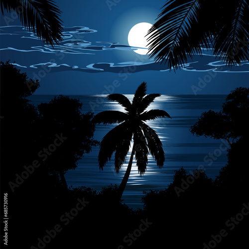 palm tree silhouette at night 