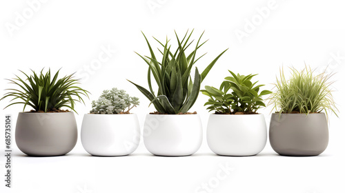 A set of four planters with different plants in them and a white background with a white background and a white background with a white background