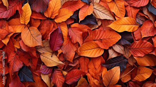 A close-up of autumn leaves in rich hues of red and orange, forming a vibrant carpet on the ground beneath a leafy canopy. © Eun Woo Ai