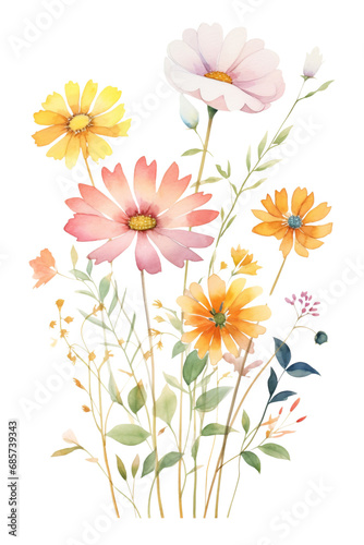 watercolor wildflower bouquet transparent background