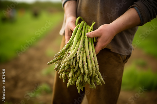 Bunch of fresh ripe asparagus in farmers hand. Generative AI