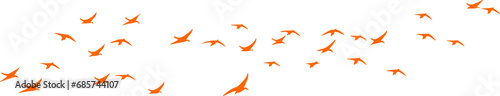 Birds flying on group
