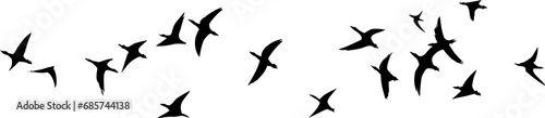 Birds flying on group © AgungRikhi