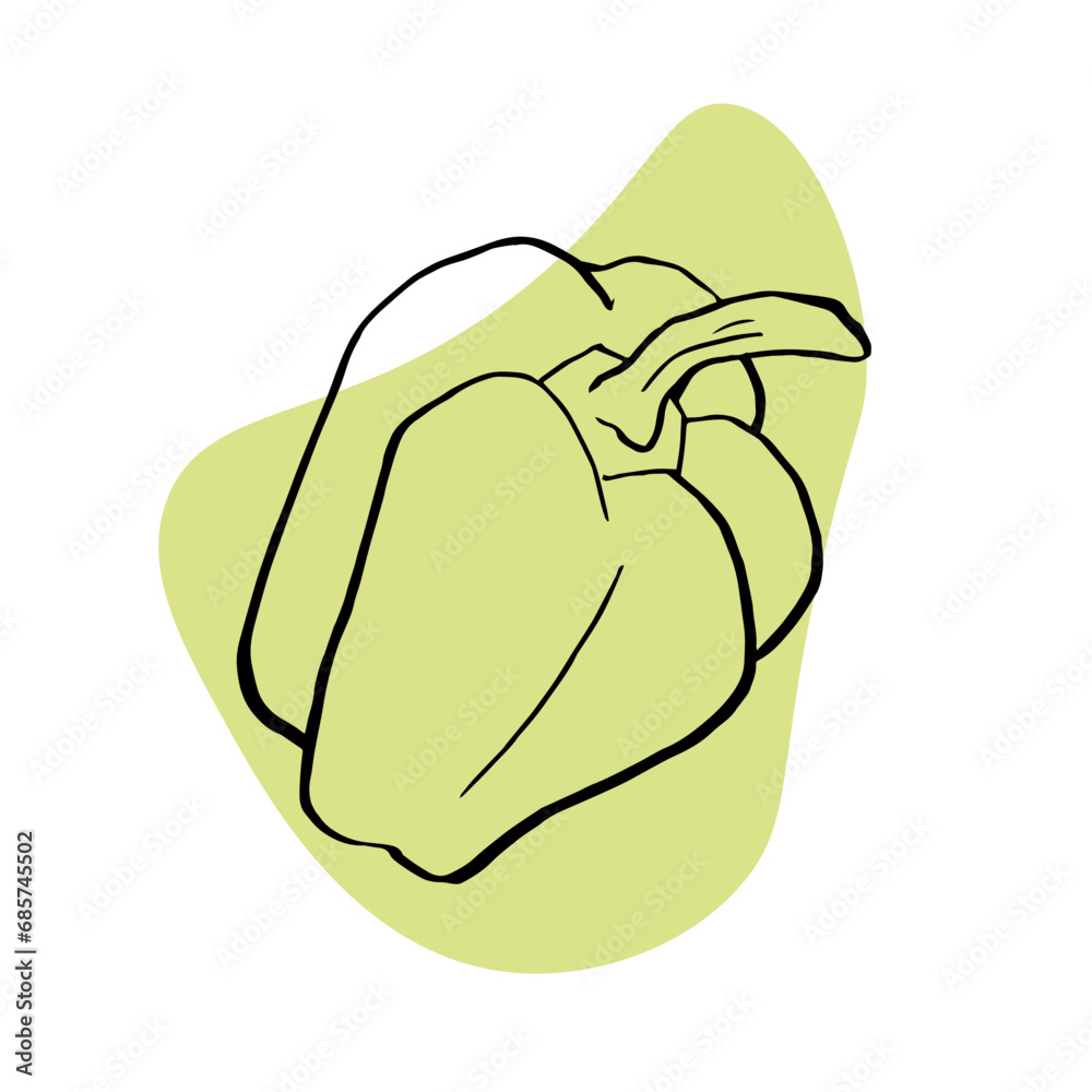 Pepper sketch isolated on green spot. Vegetable doodle drawed. Green bell pepper Food icon. Pepper sketch isolated on green spot. Vegetable doodle drawed. Green bell pepper Food icon.