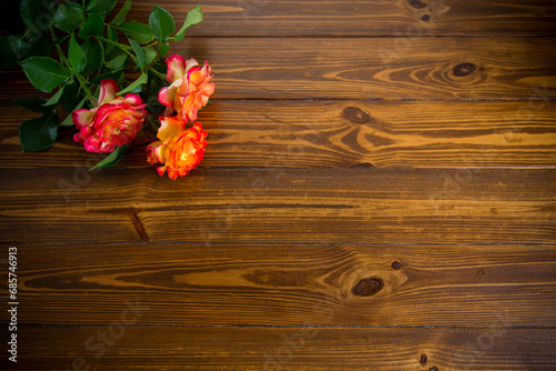 red beautiful blooming rose on a wooden table