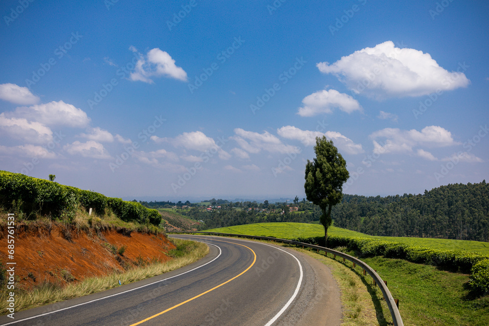 Fototapeta premium road in the countryside