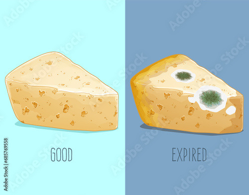 Fresh cheese. Expired cheese, moldy cheese. How to identify expired food. Comparison of fresh and expired cheese. Vector illustration. 
