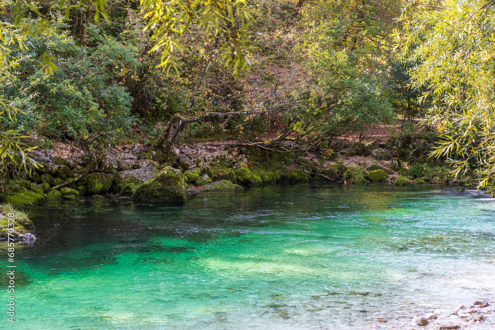 River at Bohinjsko lake in Slovenia