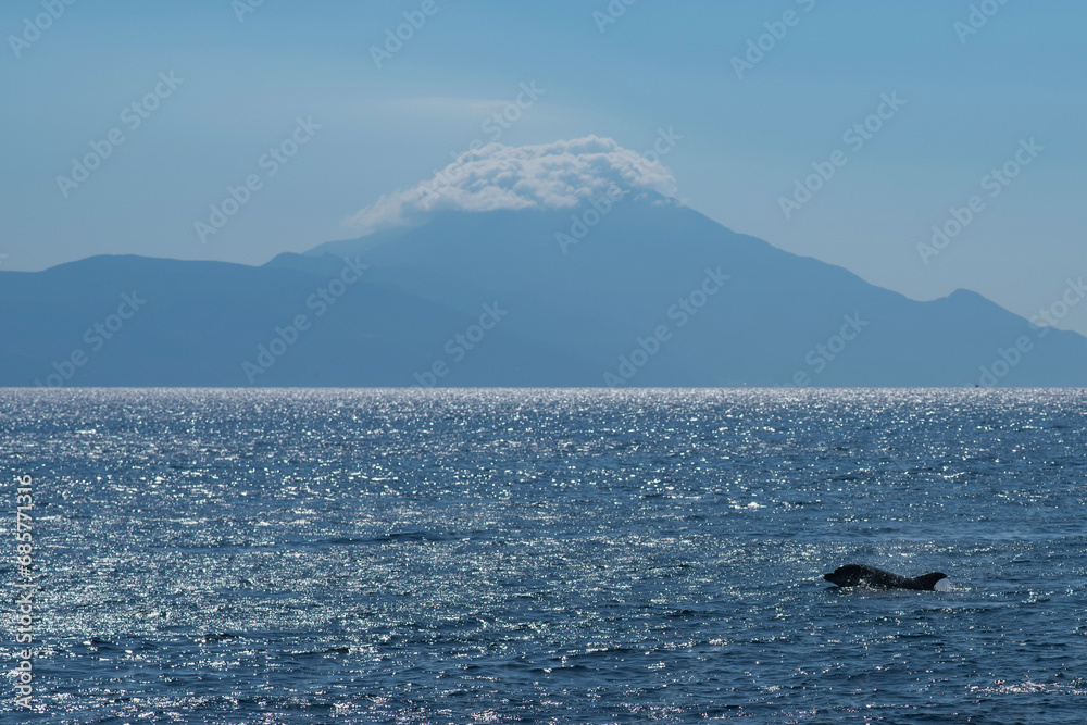 dolphin silhouette in front of Mt. Athos Greece