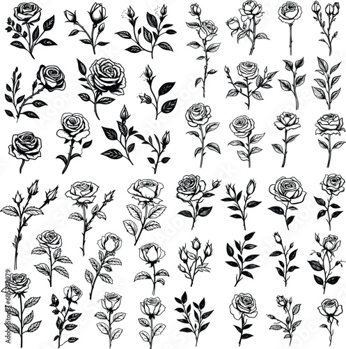 set of rose illustration isolated floral flower drawing black and white vector graphic element beautiful decoration collection © Redesigner