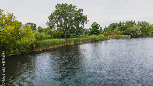 Small lake in the forest